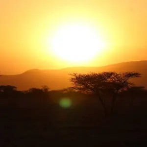 Explore 7 days Masai Mara Family Adventure for 7 days with Primate World Safaris (U) Ltd and discover unforgettable experiences - Photo 8