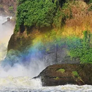 Explore 14 days Ultimate Uganda Luxury Safari for 14 days with Primate World Safaris (U) Ltd and discover unforgettable experiences - Photo 5