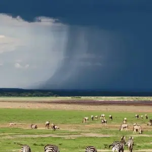 Explore Highlights of Tanzania for 9 days with Prime Safaris and discover unforgettable experiences - Photo 2