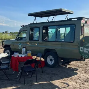 Explore 14 days Ultimate Uganda Luxury Safari for 14 days with Primate World Safaris (U) Ltd and discover unforgettable experiences - Photo 11