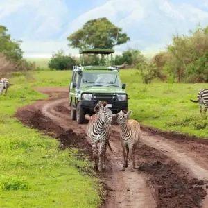 Explore Highlights of Tanzania for 9 days with Prime Safaris and discover unforgettable experiences - Photo 5