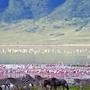 Explore Highlights of Tanzania for 9 days with Prime Safaris and discover unforgettable experiences - Photo 8