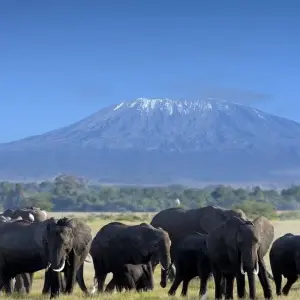 Explore Scenic Kenya Safari for 9 days with Prime Safaris and discover unforgettable experiences - Photo 7