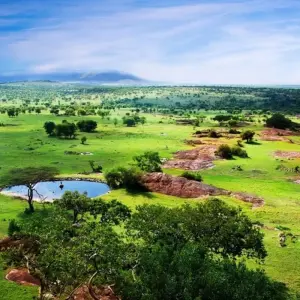 Explore East African Explorer, Keekorok and Serena Lodges - Private Tour (Multi country) for 13 days with Prime Safaris and discover unforgettable experiences - Photo 8