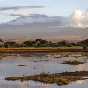 Explore Mombasa Rendezvous (On Request) for 4 days with Prime Safaris and discover unforgettable experiences - Photo 4