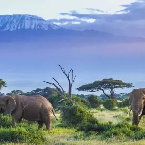 Explore Mombasa Rendezvous, Private Tour (On Request) for 4 days with Prime Safaris and discover unforgettable experiences - Photo 7