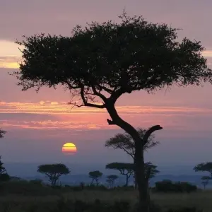 Explore Safari to the Shimba Hills, Ngutuni & Salt Lick, Short Break (On Request) for 3 days with Prime Safaris and discover unforgettable experiences - Photo 6