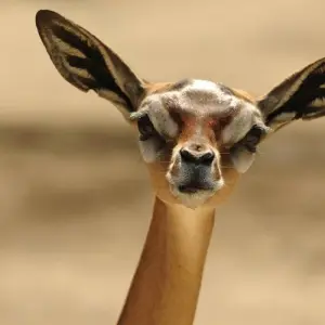 Explore Mombasa Rendezvous (On Request) for 4 days with Prime Safaris and discover unforgettable experiences - Photo 7