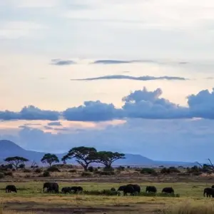 Explore Kilimanjaro to Mombasa for 5 days with Prime Safaris and discover unforgettable experiences - Photo 7