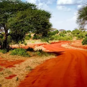 Explore Mombasa Rendezvous (On Request) for 4 days with Prime Safaris and discover unforgettable experiences - Photo 9