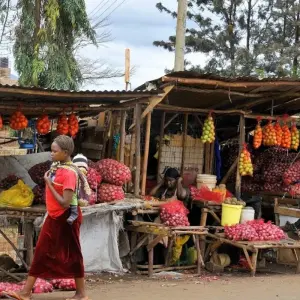 Explore Simba Safari, Serena Lodges for 8 days with Prime Safaris and discover unforgettable experiences - Photo 8