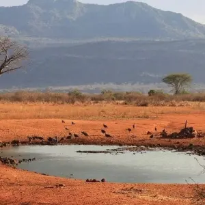 Explore Kilimanjaro to Mombasa for 5 days with Prime Safaris and discover unforgettable experiences - Photo 8