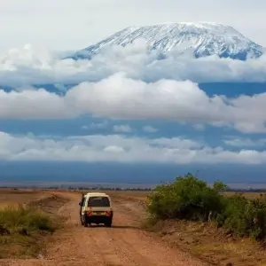 Explore Kilimanjaro to Mombasa for 5 days with Prime Safaris and discover unforgettable experiences - Photo 9