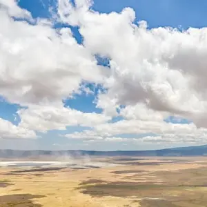 Explore Simba Safari, Serena Lodges for 8 days with Prime Safaris and discover unforgettable experiences - Photo 10