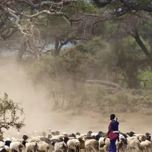 Explore Mombasa Rendezvous (On Request) for 4 days with Prime Safaris and discover unforgettable experiences - Photo 11