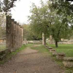 Explore 3 Day Private Tour in Mycenae, Olympia, Delphi, Honey & Olive Oil Tasting for 3 days with Private Tours Greece and discover unforgettable experiences - Photo 5