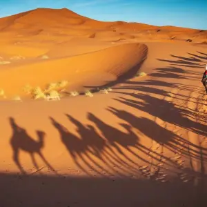 Explore Sahara Desert Tour From Casablanca 10 Days for 10 days with Private Desert Tours and discover unforgettable experiences - Photo 2