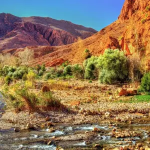 Explore Desert Tour From Casablanca To Chefchaouen 7Days End In Marrakech for 7 days with Private Desert Tours and discover unforgettable experiences - Photo 9