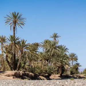 Explore Marrakesh Private Tours The Valleys Of The South for 3 days with Private Desert Tours and discover unforgettable experiences - Photo 2
