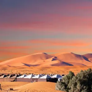 Explore Sahara Desert Tour From Casablanca 10 Days for 10 days with Private Desert Tours and discover unforgettable experiences - Photo 6