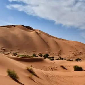 Explore Private Fes Desert Tour To Marrakech 4Days for 4 days with Private Desert Tours and discover unforgettable experiences - Photo 6