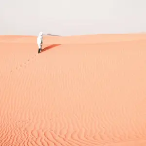 Explore Luxury Marrakech Tour To Desert 4Days / 1 Night In Luxury Desert Camp for 4 days with Private Desert Tours and discover unforgettable experiences - Photo 3