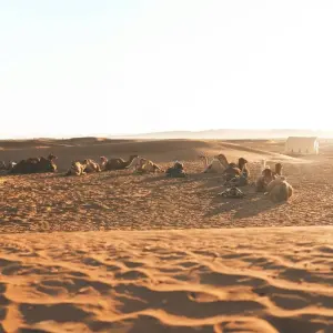 Explore Private Marrakech Desert Tours To Jewish Dunes for 2 days with Private Desert Tours and discover unforgettable experiences - Photo 5