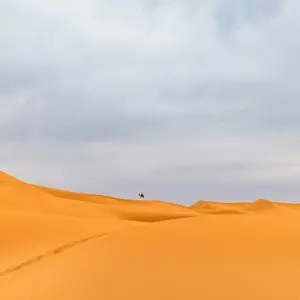 Explore Marrakesh Private Tours The Valleys Of The South for 3 days with Private Desert Tours and discover unforgettable experiences - Photo 5