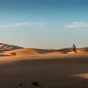 Explore Luxury Marrakech Tour To Desert 4Days / 1 Night In Luxury Desert Camp for 4 days with Private Desert Tours and discover unforgettable experiences - Photo 5