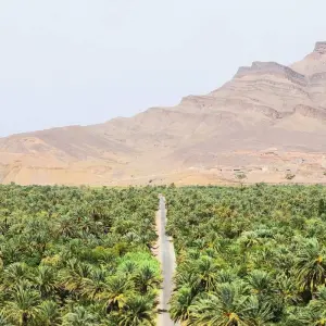 Explore Marrakech Desert Trip Chigaga Dunes Riding Camel Sandboarding for 3 days with Private Desert Tours and discover unforgettable experiences - Photo 6