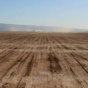 Explore Desert Experience Marrakesh – Camel Tekking 4 Days for 4 days with Private Desert Tours and discover unforgettable experiences - Photo 4