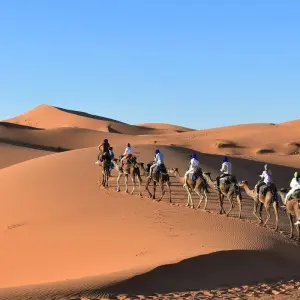 Explore Luxury Marrakech Tour To Desert 4Days / 1 Night In Luxury Desert Camp for 4 days with Private Desert Tours and discover unforgettable experiences - Photo 6