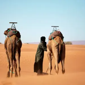 Explore Private Morocco Tours Dades Gorges, Draa Valley, Night Desert Camp for 5 days with Private Desert Tours and discover unforgettable experiences - Photo 7