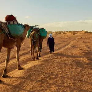 Explore Desert Experience Marrakesh – Camel Tekking 4 Days for 4 days with Private Desert Tours and discover unforgettable experiences - Photo 7