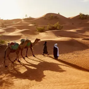 Explore Desert Experience Marrakesh – Camel Tekking 4 Days for 4 days with Private Desert Tours and discover unforgettable experiences - Photo 8