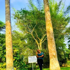 Explore Adventure Tours for 3 days with Pro Tour Africa and discover unforgettable experiences - Photo 2