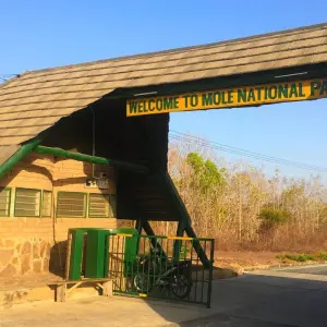 Explore Let's Explore Ghana for 10 days with Pro Tour Africa and discover unforgettable experiences - Photo 3