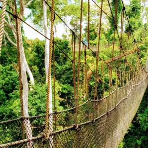 Explore Seven Days Outdoor Adventure Tour for 7 days with Pro Tour Africa and discover unforgettable experiences - Photo 7