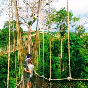 Explore Let's Explore Ghana for 10 days with Pro Tour Africa and discover unforgettable experiences - Photo 10