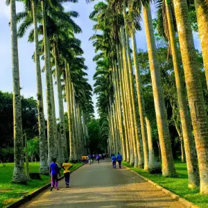 Explore Adventure Tours for 3 days with Pro Tour Africa and discover unforgettable experiences - Photo 11