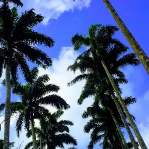 Explore Nine Days Local Tour in Kumasi & Tamale for 9 days with Pro Tour Africa and discover unforgettable experiences - Photo 10