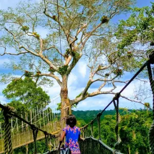 Explore Seven Days Outdoor Adventure Tour for 7 days with Pro Tour Africa and discover unforgettable experiences - Photo 11