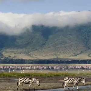 Explore Amazing Beach Holidays with Combination of Safari for 10 days with Professional Safari Africa and discover unforgettable experiences - Photo 5