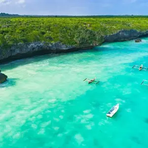 Explore Big Five Combination Zanzibar Beach Safari for 10 days with Professional Safari Africa and discover unforgettable experiences - Photo 6