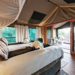Explore The Best of Botswana Safari - 7 Days Expedition for 7 days with Professional Safari Africa and discover unforgettable experiences - Photo 2