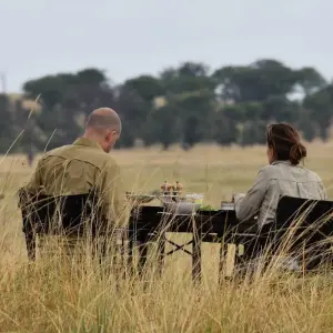 Explore The Great Kenya and Tanzania Explorer (Private 13 Days and 6 Game Reserves) for 13 days with Professional Safari Africa and discover unforgettable experiences - Photo 3