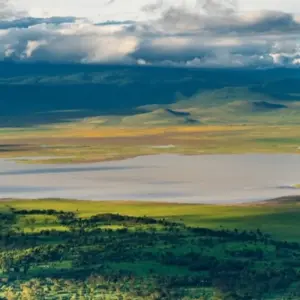 Explore Amazing Beach Holidays with Combination of Safari for 10 days with Professional Safari Africa and discover unforgettable experiences - Photo 10