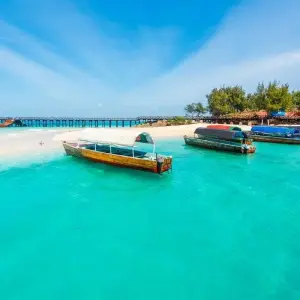 Explore Big Five Combination Zanzibar Beach Safari for 10 days with Professional Safari Africa and discover unforgettable experiences - Photo 11