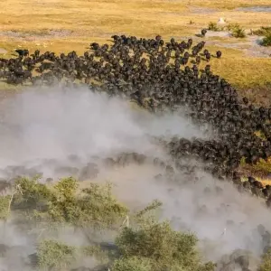 Explore Luxury Adventure: The Best of Kenya & Tanzania for 6 days with Professional Safari Africa and discover unforgettable experiences - Photo 8