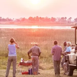 Explore The Best of Botswana Safari - 7 Days Expedition for 7 days with Professional Safari Africa and discover unforgettable experiences - Photo 8